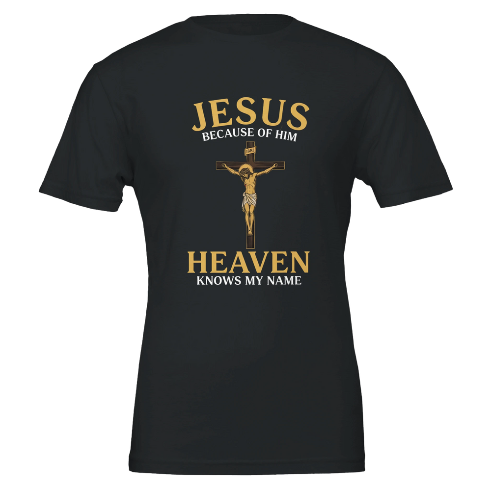 95f0623c-a8ed-4b3b-90d4-5d87e0f9df95