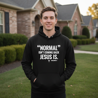 Load image into Gallery viewer, Normal isn&#39;t coming back Jesus is Pullover Hoodie
