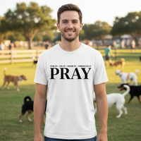 Load image into Gallery viewer, Pray for it on it over it through it (3) Premium Unisex Crewneck T-shirt
